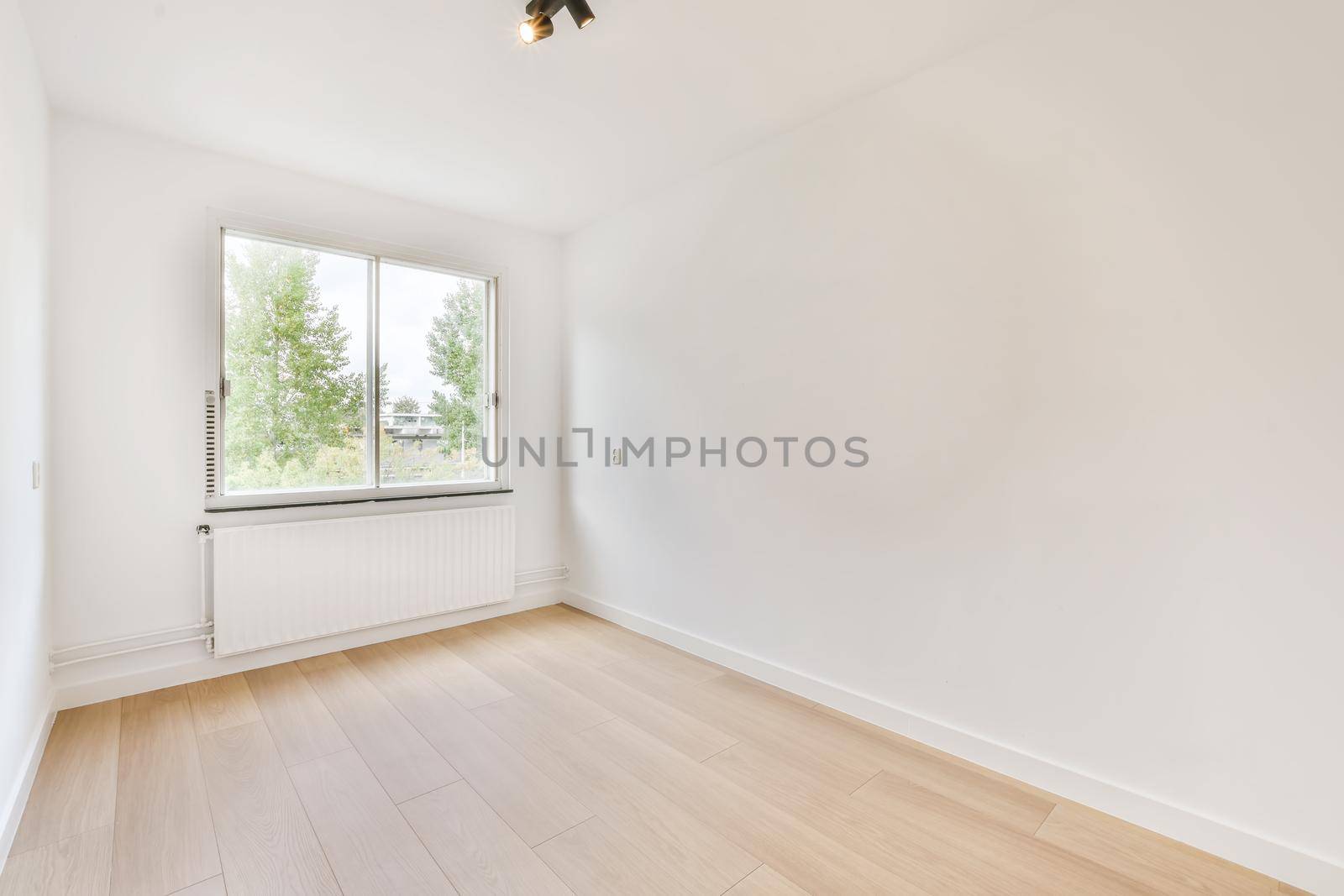 Spacious, bright and beautiful room with large windows and parquet floors