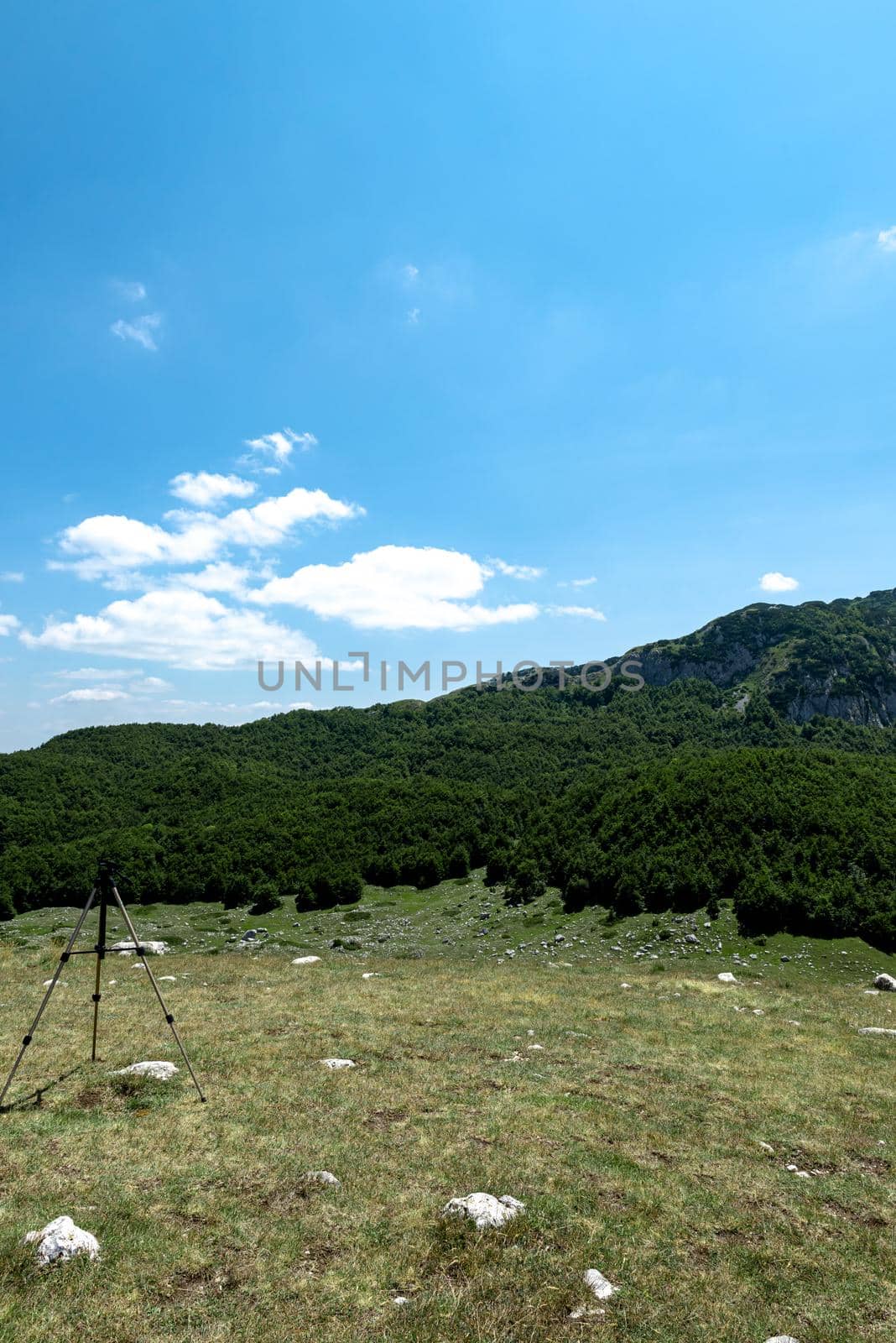 Mountain landscape. Mountains with green grass and bright blue sky. Idyllic panorama. Tourism concept. Hiking. Vacation in Europe. Relax in the open air and the spirit of adventure. Ecology of nature by Andrii_Ko