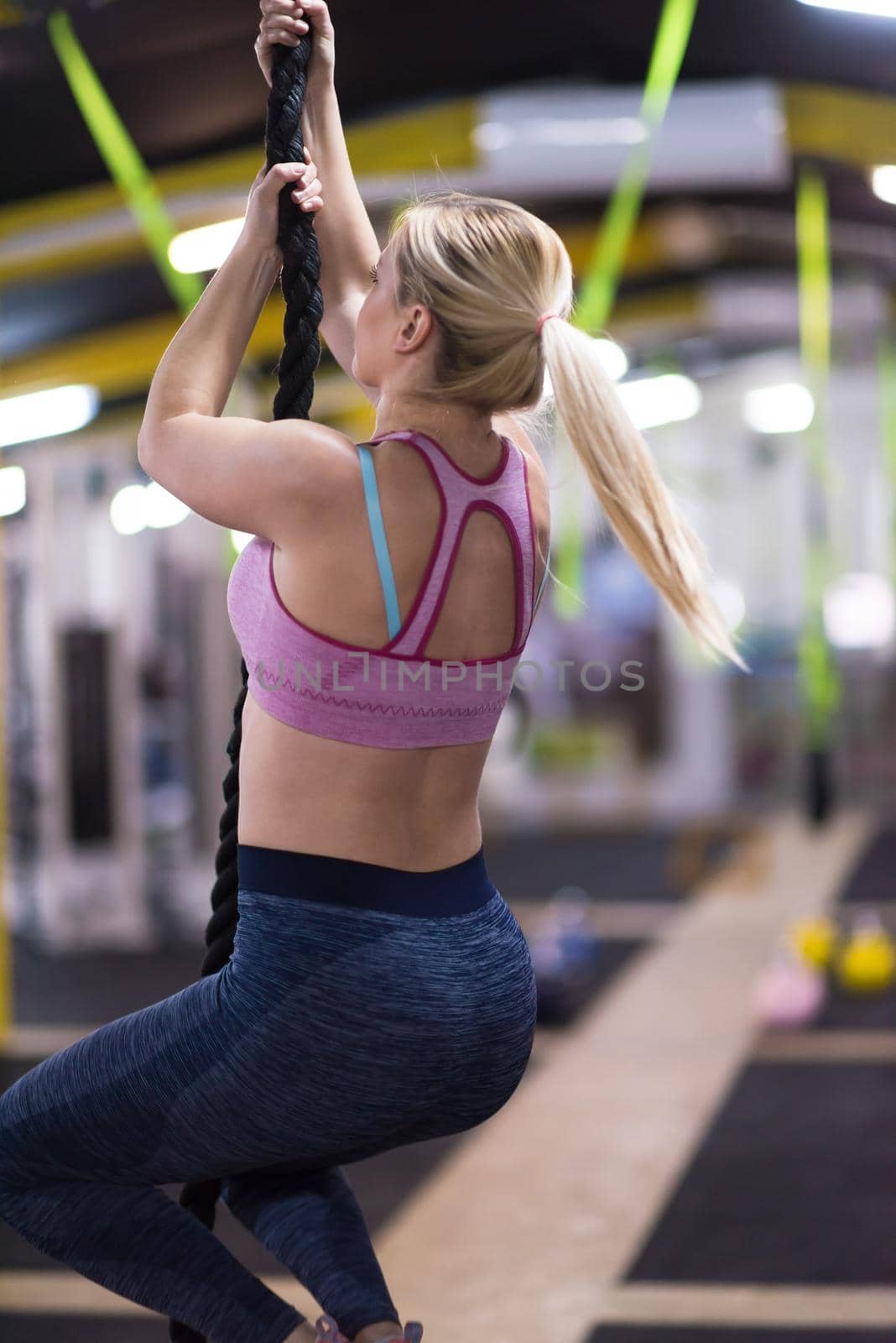 young muscular woman doing rope climbing in cross fitness gym