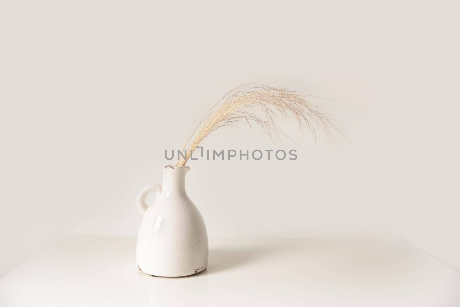 White vase with dried flowers on a white background