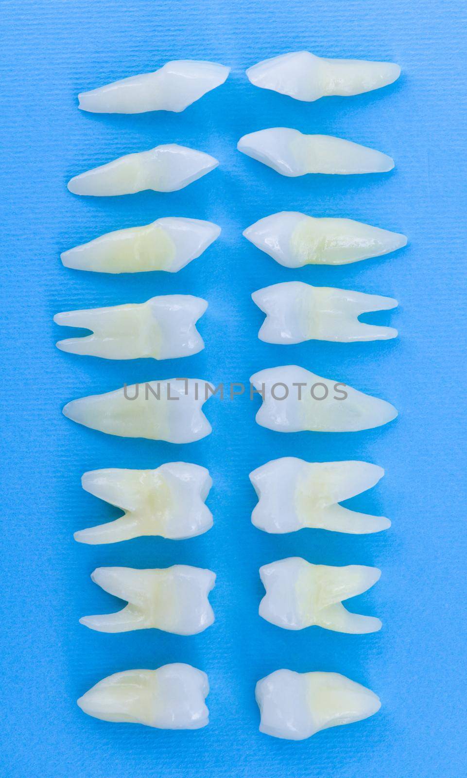 Prosthetic dentistry  White teeth on blue background Oral dental hygiene  Dental health concept  Oral care  teeth restoration top view