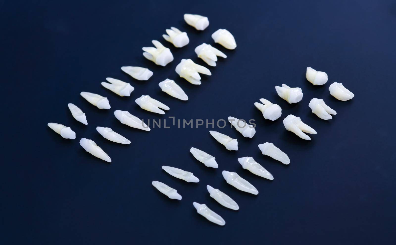 Prosthetic dentistry  White teeth on blue background Oral dental hygiene  Dental health concept  Oral care  teeth restoration