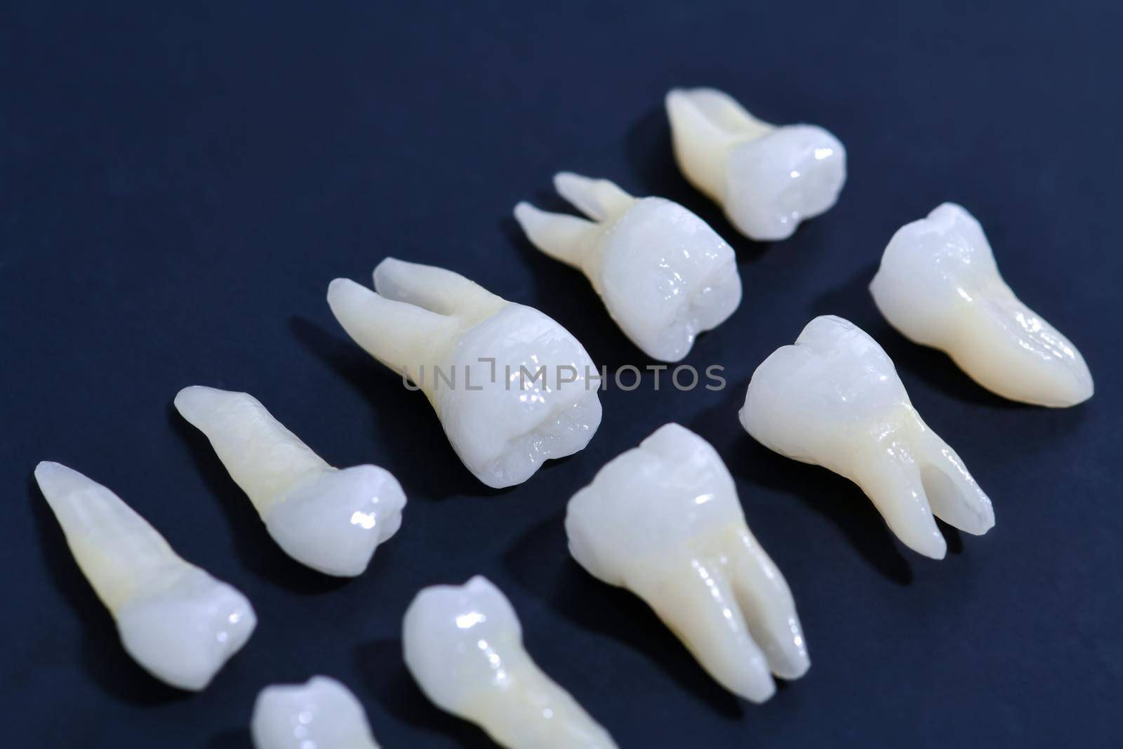 Prosthetic dentistry  White teeth on blue background Oral dental hygiene  Dental health concept  Oral care  teeth restoration