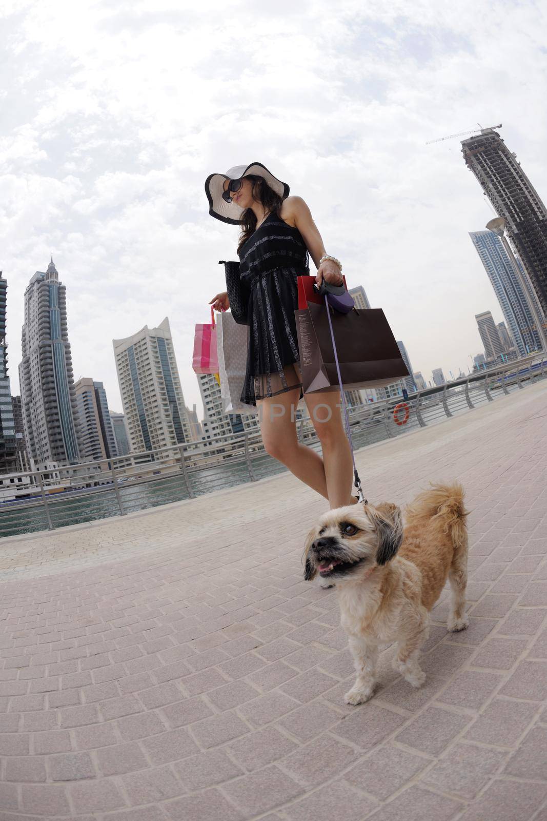 beautiful woman goes in shopping in the city