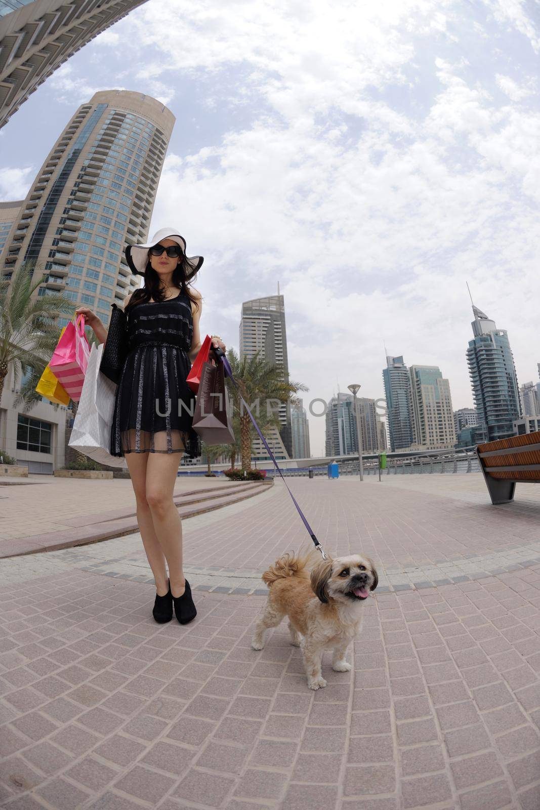 beautiful woman goes in shopping in the city