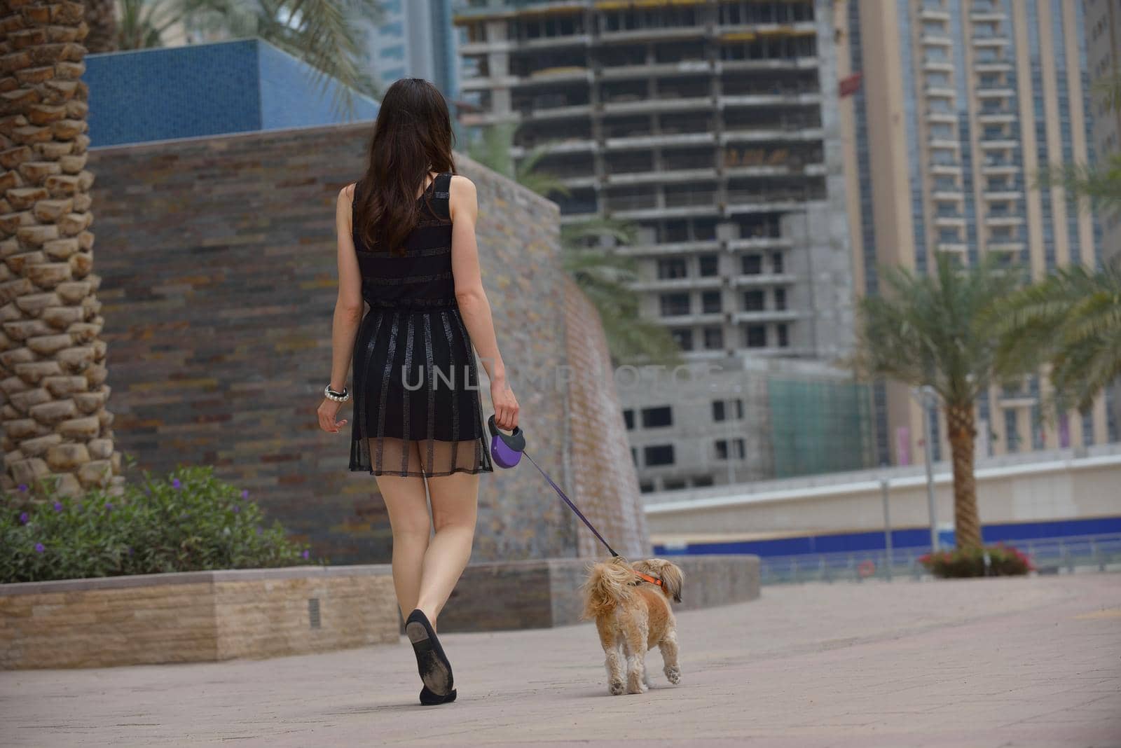 beautiful happy young  woman in black dress with cute small dog puppy have fun on street