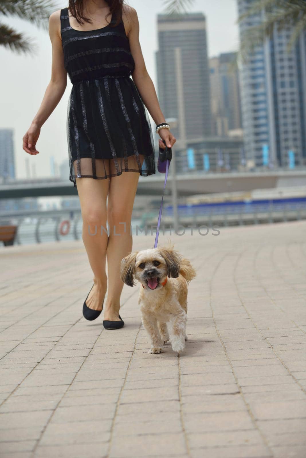 beautiful happy young  woman in black dress with cute small dog puppy have fun on street