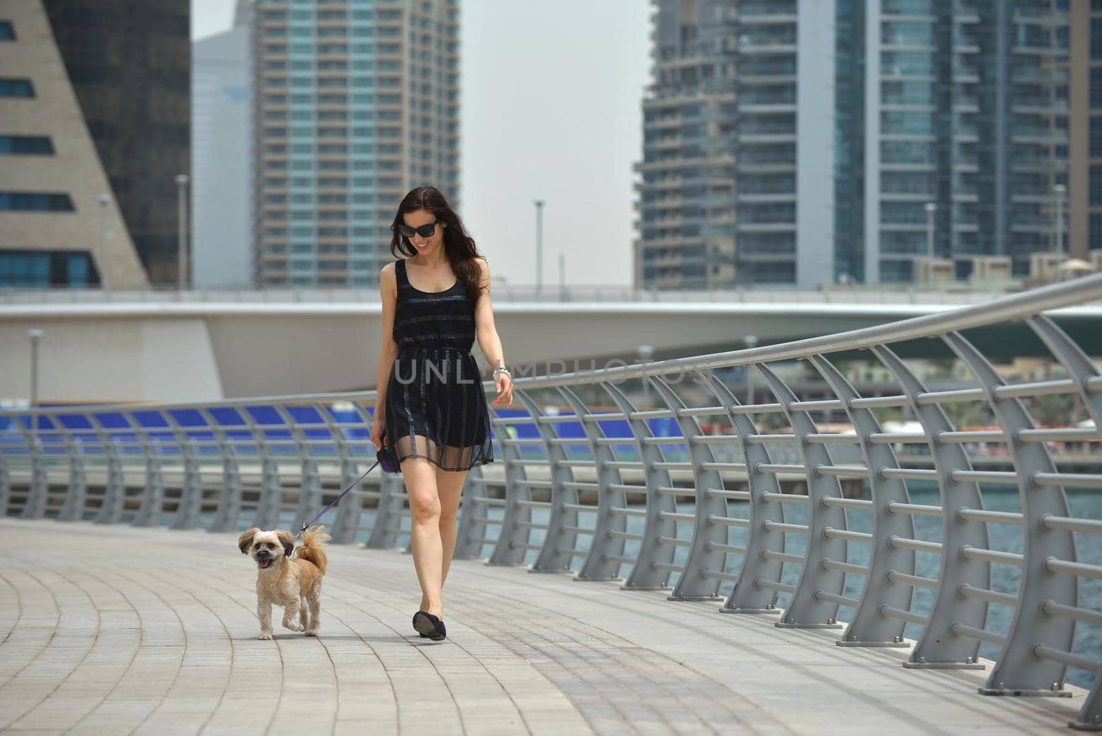 beautiful happy young  woman in black dress with cute small dog puppy have fun on street