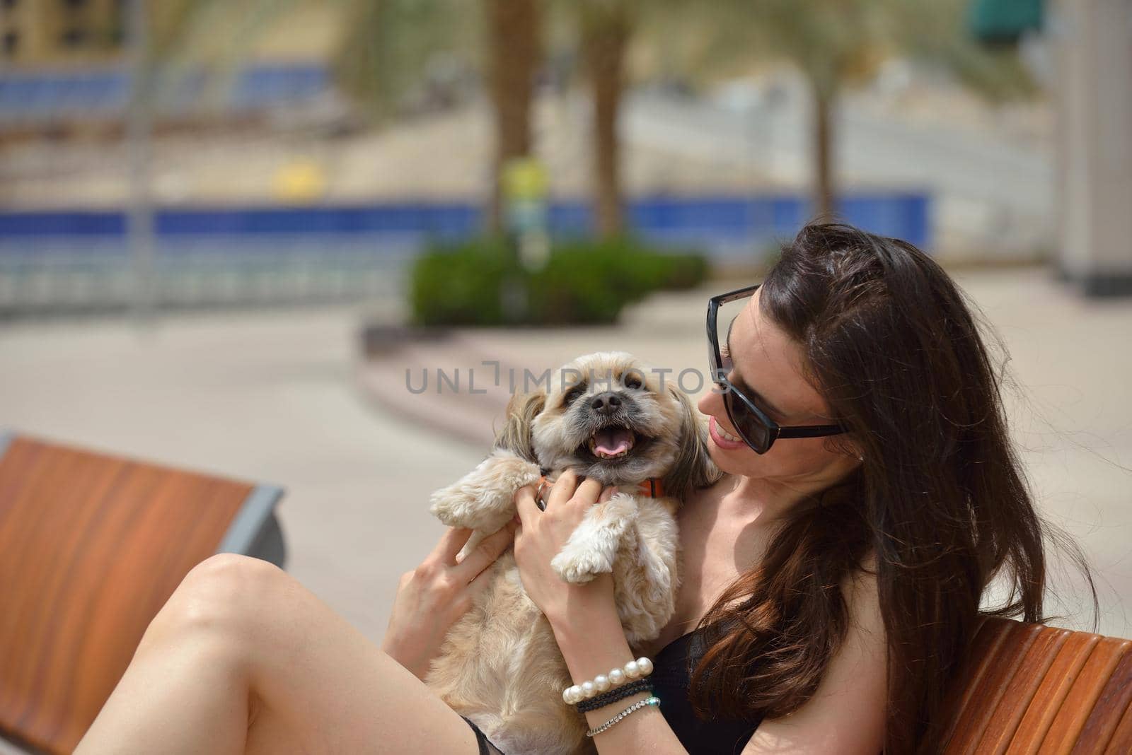 beautiful happy young  woman in black dress with cute small dog puppy have fun on street