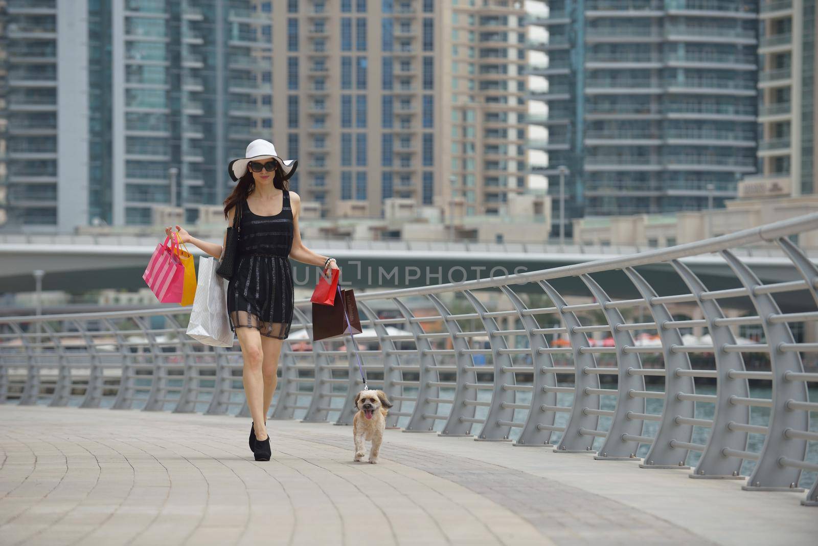 beautiful woman goes in shopping in the city