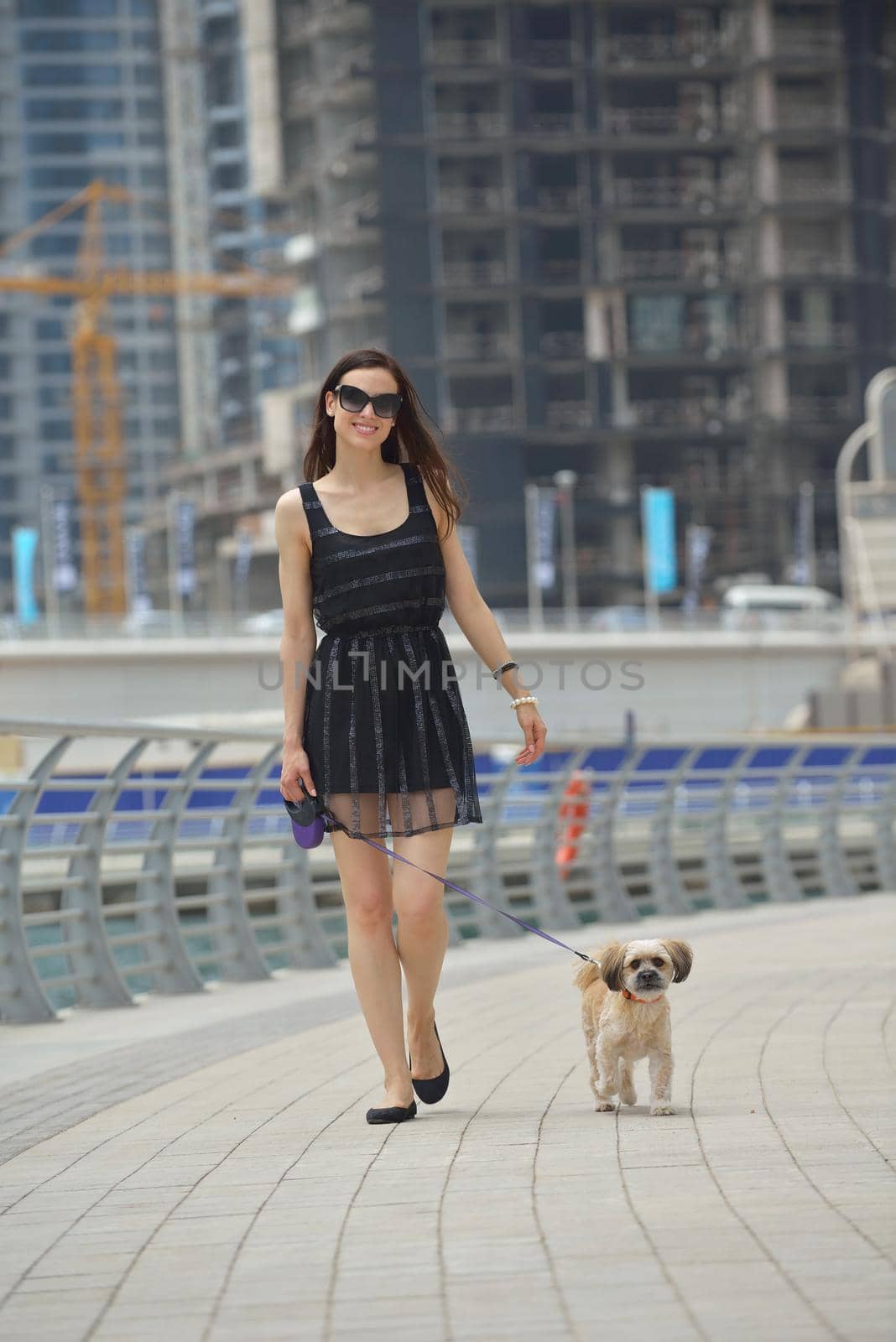happy young woman with puppy have fun by dotshock