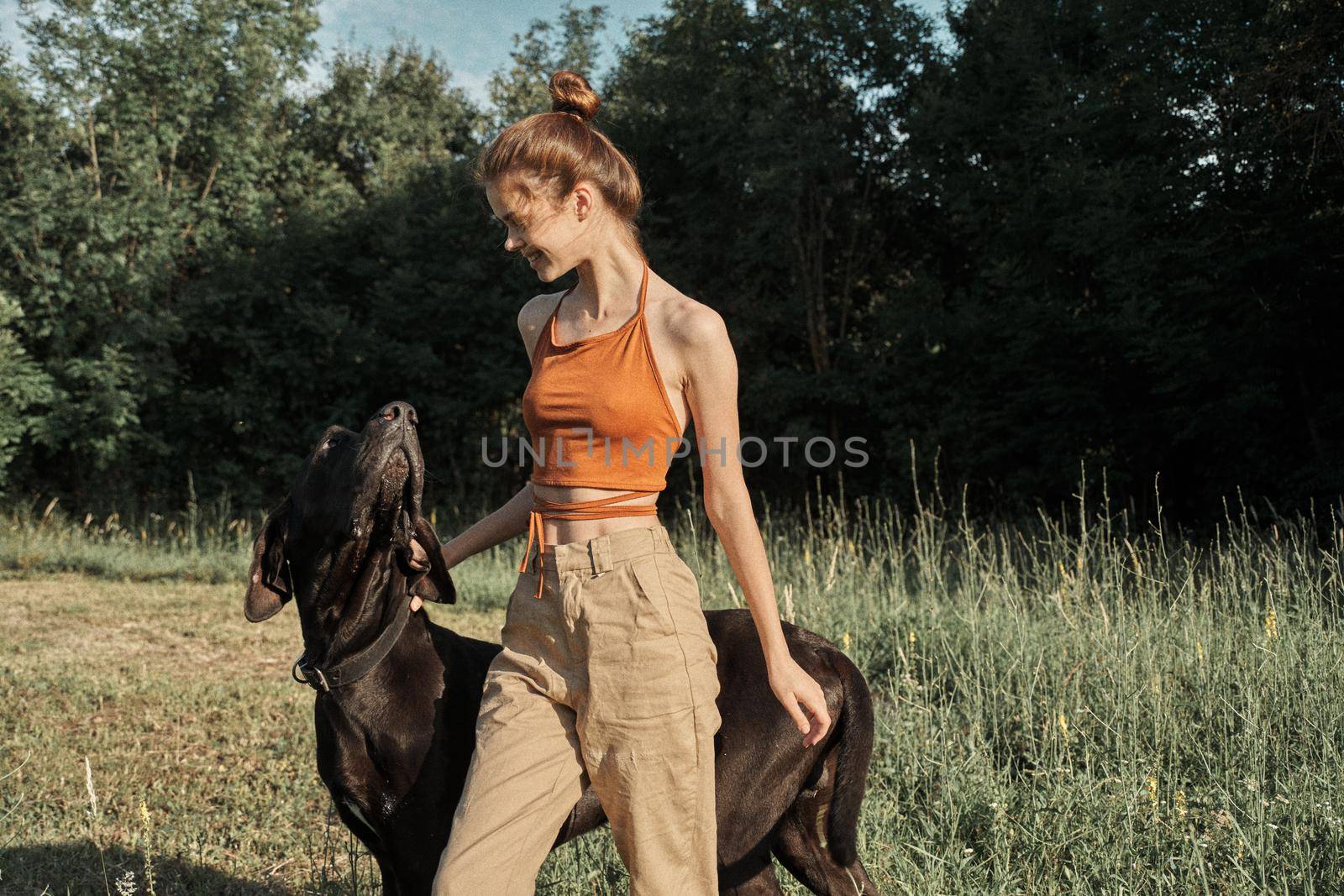 woman in the field in summer playing with a dog friendship. High quality photo