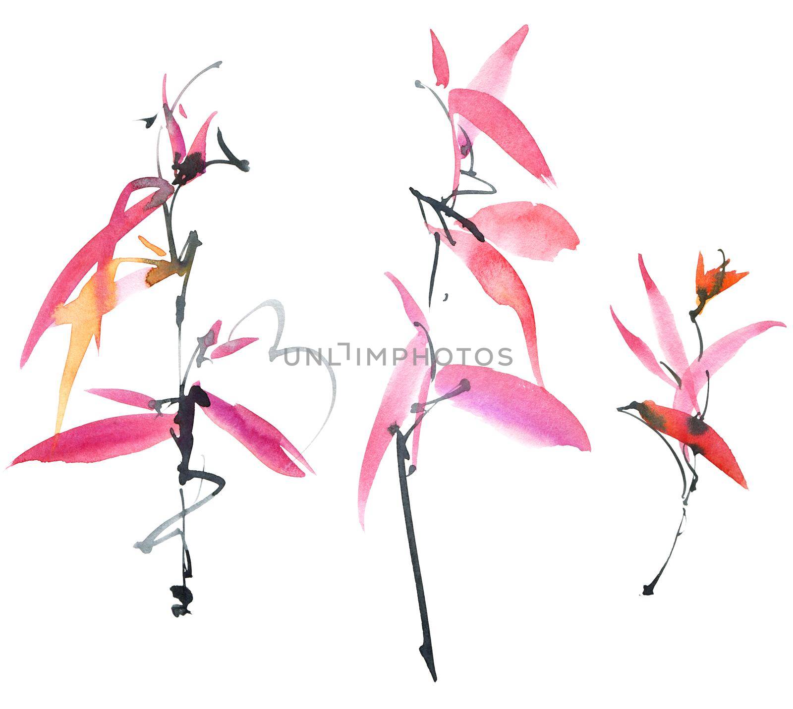 Watercolor and ink illustration - blossom plant with leaves, pink flowers and buds. Sumi-e art.