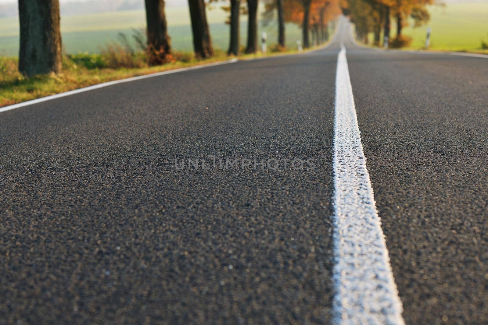 country road at autumn season with bright orange colors at morning sunrise