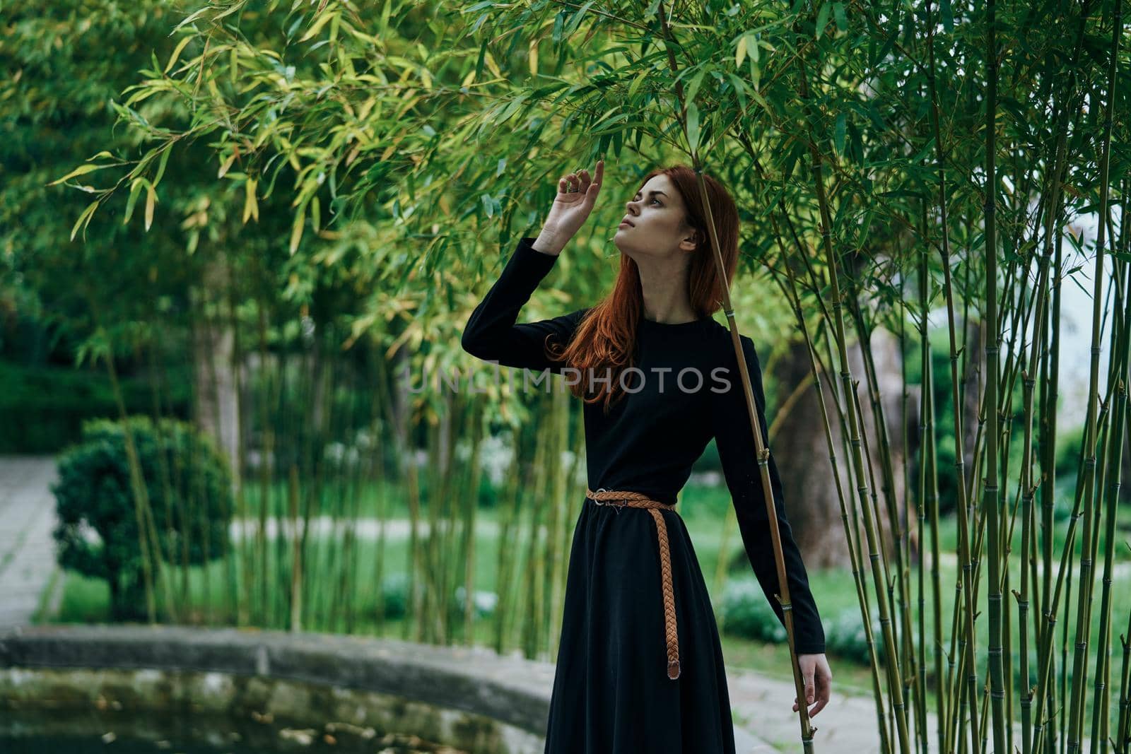 woman in black dress nature walk garden trees fresh air. High quality photo