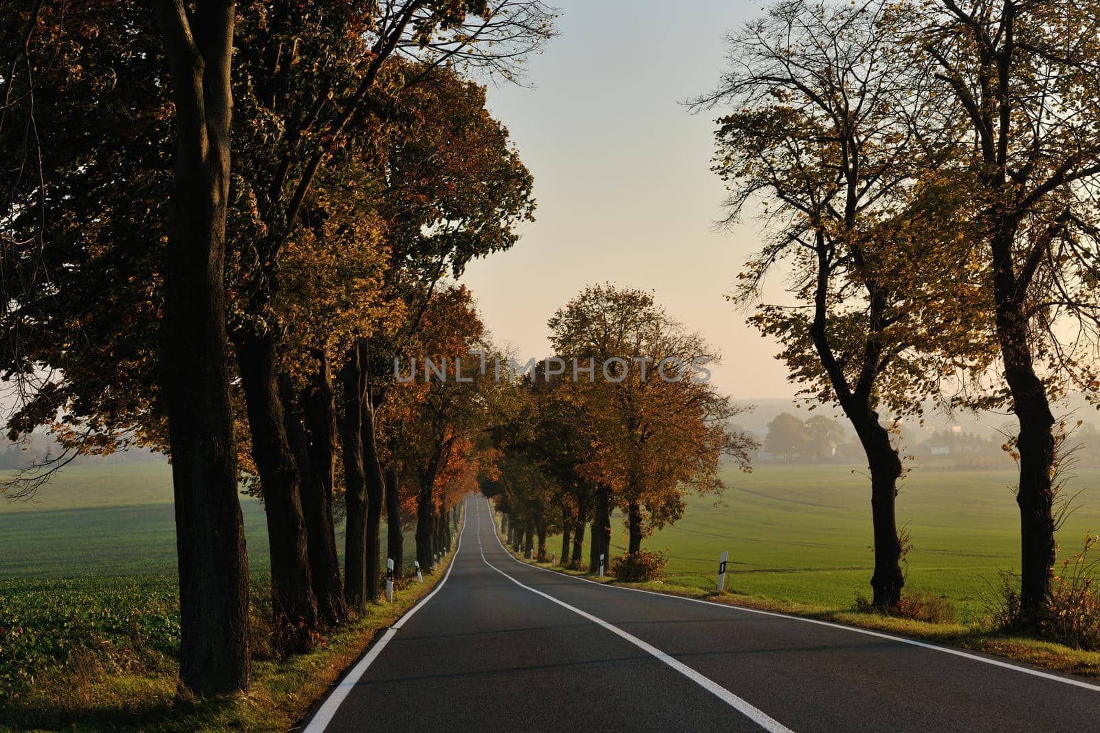 country road at autumn season with bright orange colors at morning sunrise