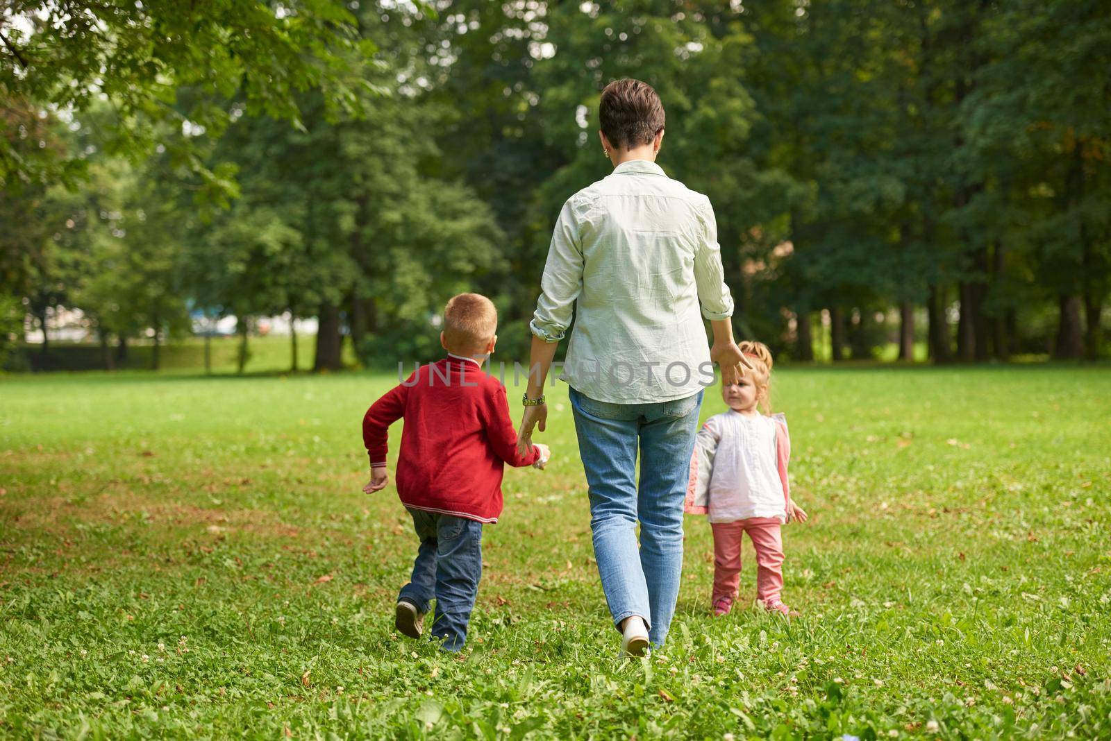 happy family playing together outdoor  in park mother with kids  running on grass