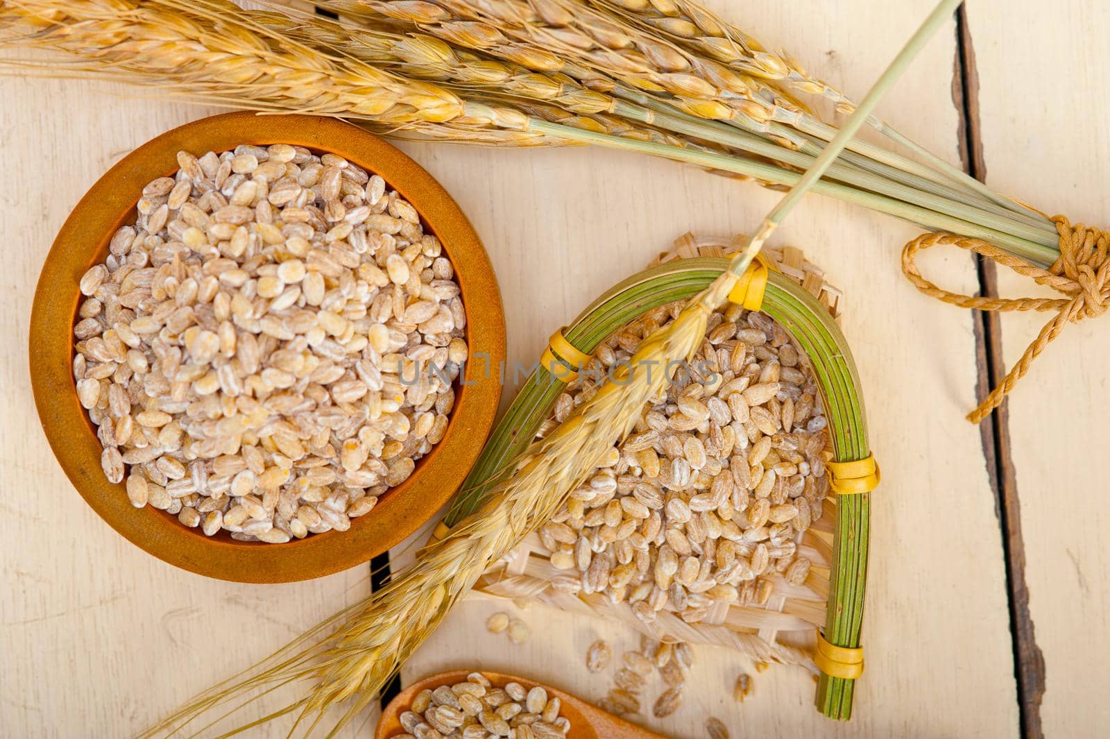 organic barley grains by keko64