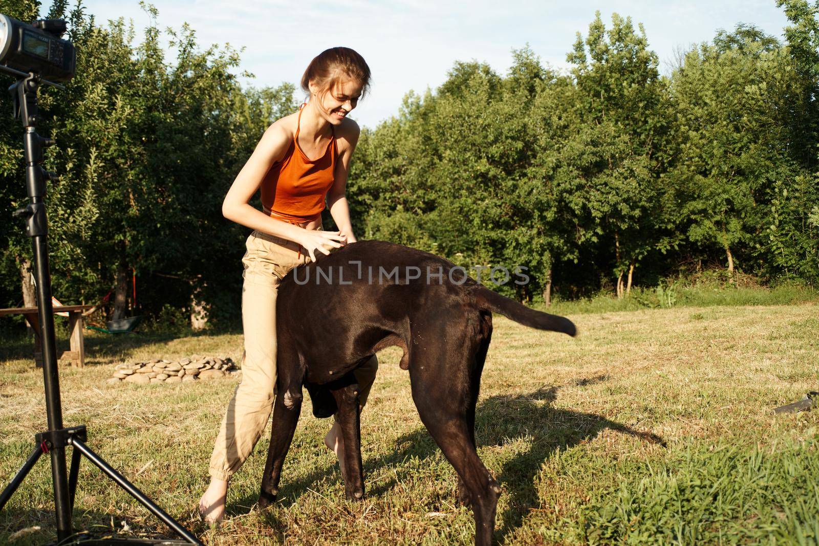 cheerful woman playing dog outdoors in the field of friendship. High quality photo