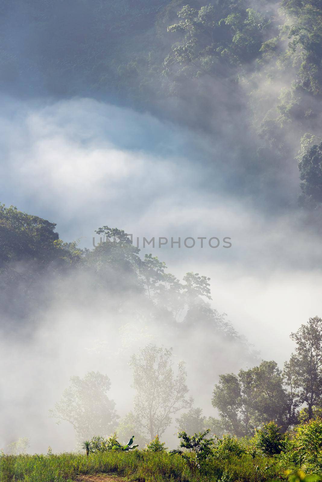 Amazing mist moving over the nature mountains during sunrise at mountains area in Thailand. by Nuamfolio