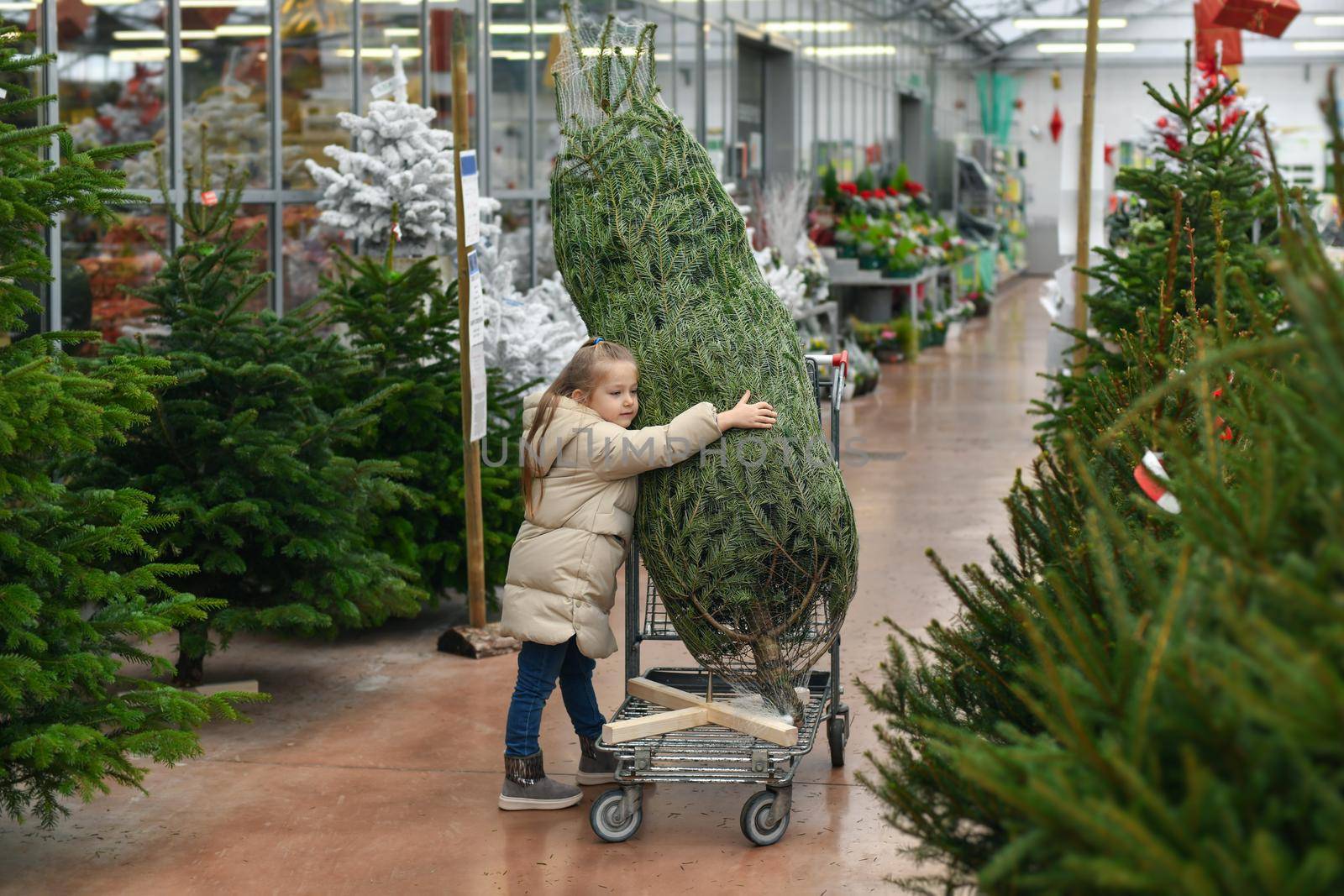 Small girl chooses a Christmas tree in the shop.