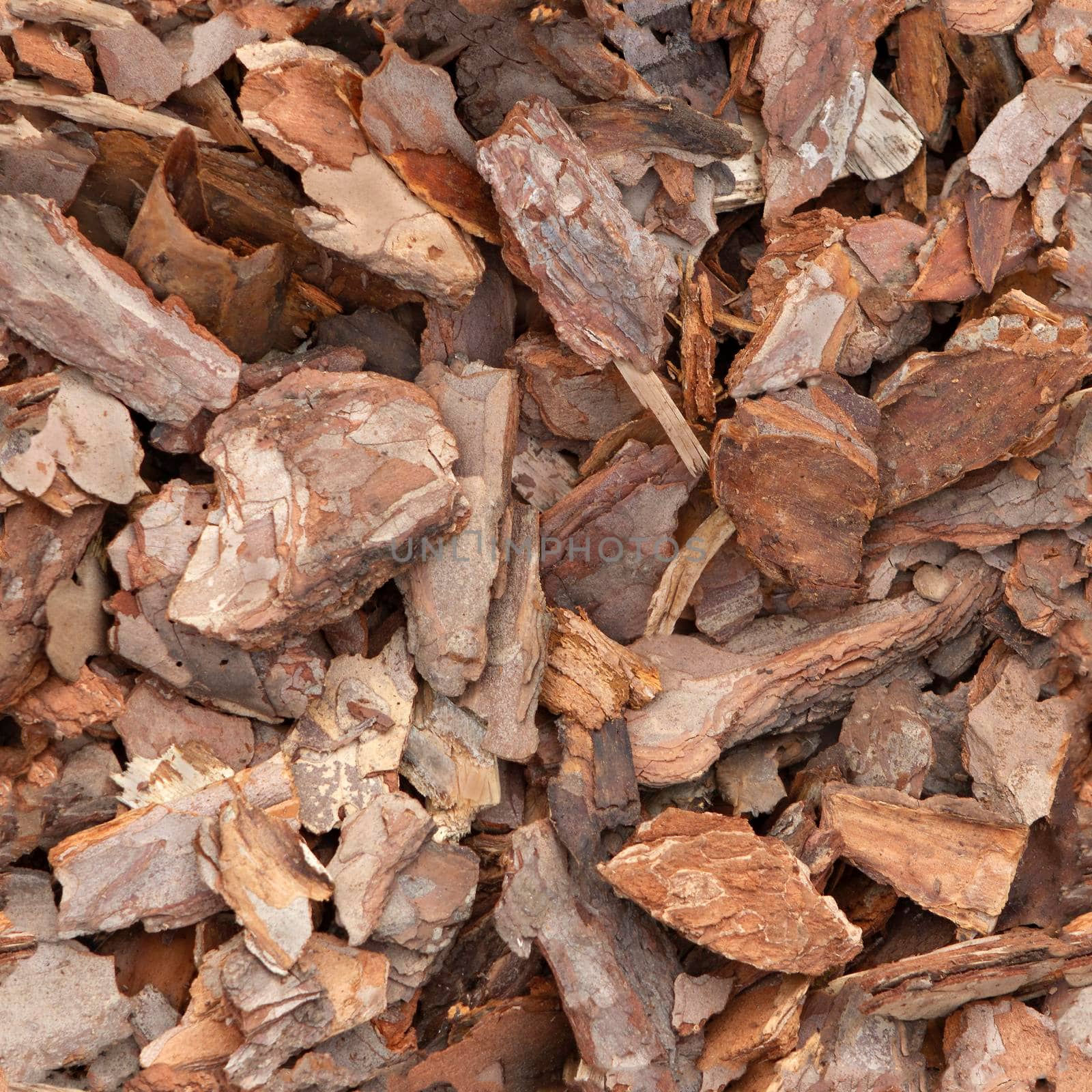 Seamless texture pine chips close up.  by Laguna781