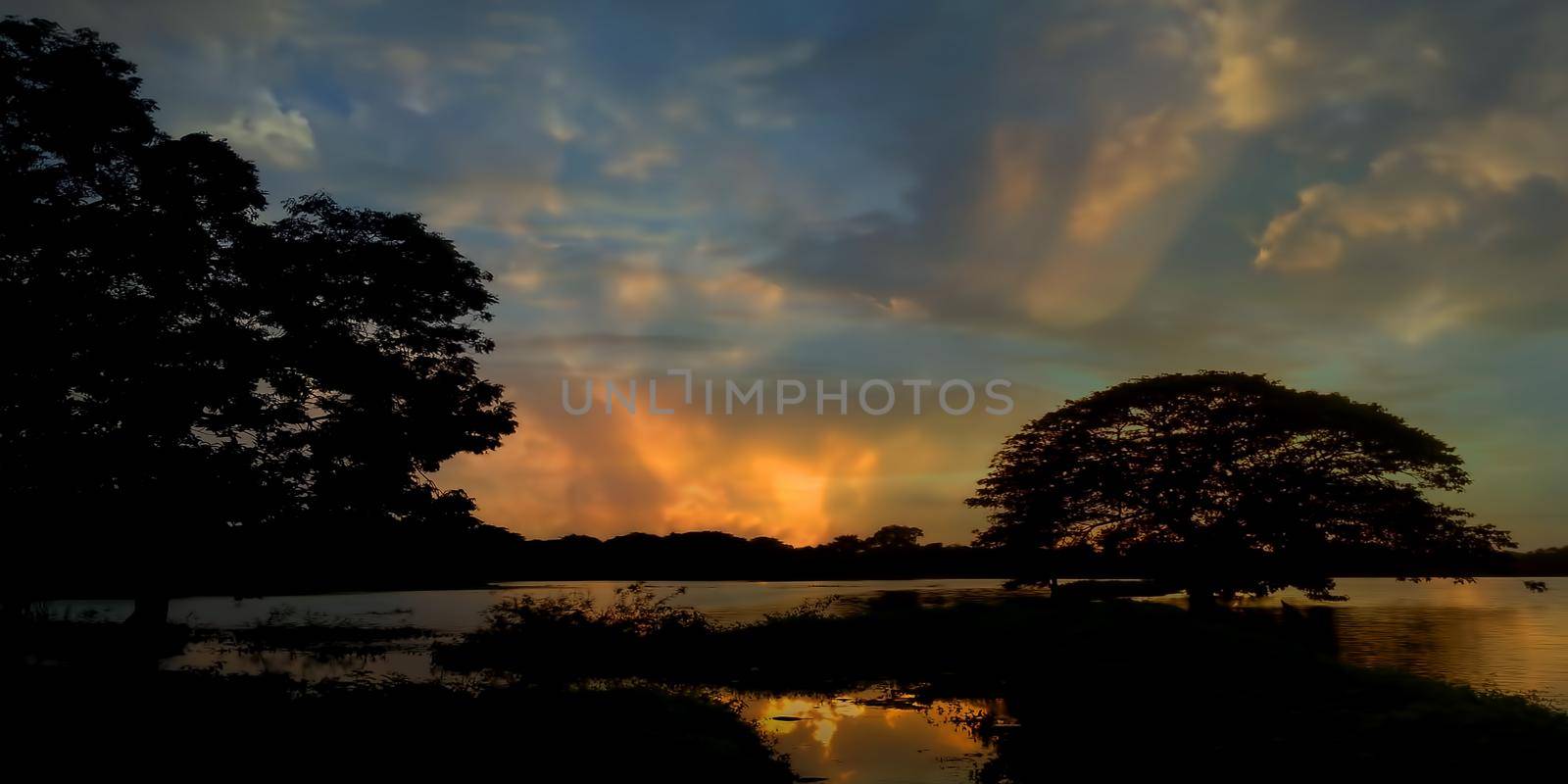 Creative shot of sunset.Sun setting behind the tree in the lake during dusk time with colorful dramatic clouds in the sky. by mirzamlk