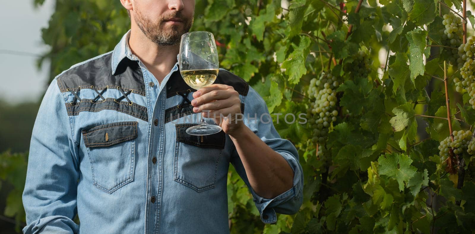 cropped enologist with wineglass. sommelier. farmer drink wine. cheers. vinedresser drinking. male vineyard owner. professional winegrower on grape farm. bearded man with wine glass.