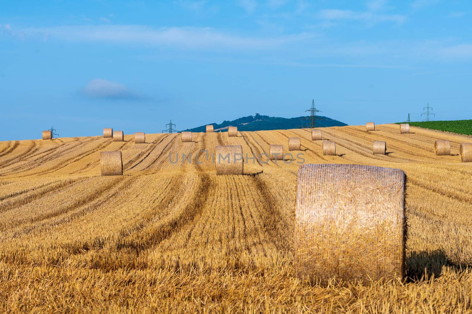 A wheat field after harvest with lots of straw bales in the sunshine and a deep blue sky.