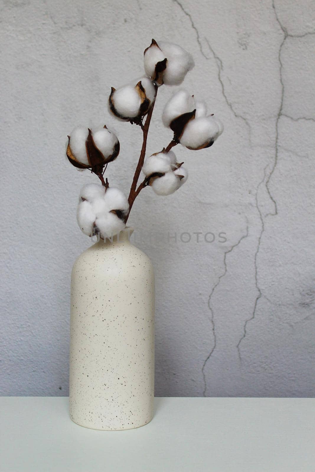 Beautiful illustration with white vase on grey background for concept design. Romantic wallpaper. Natural background. Natural beauty concept. White vase with a branch of cotton. Cement wall.