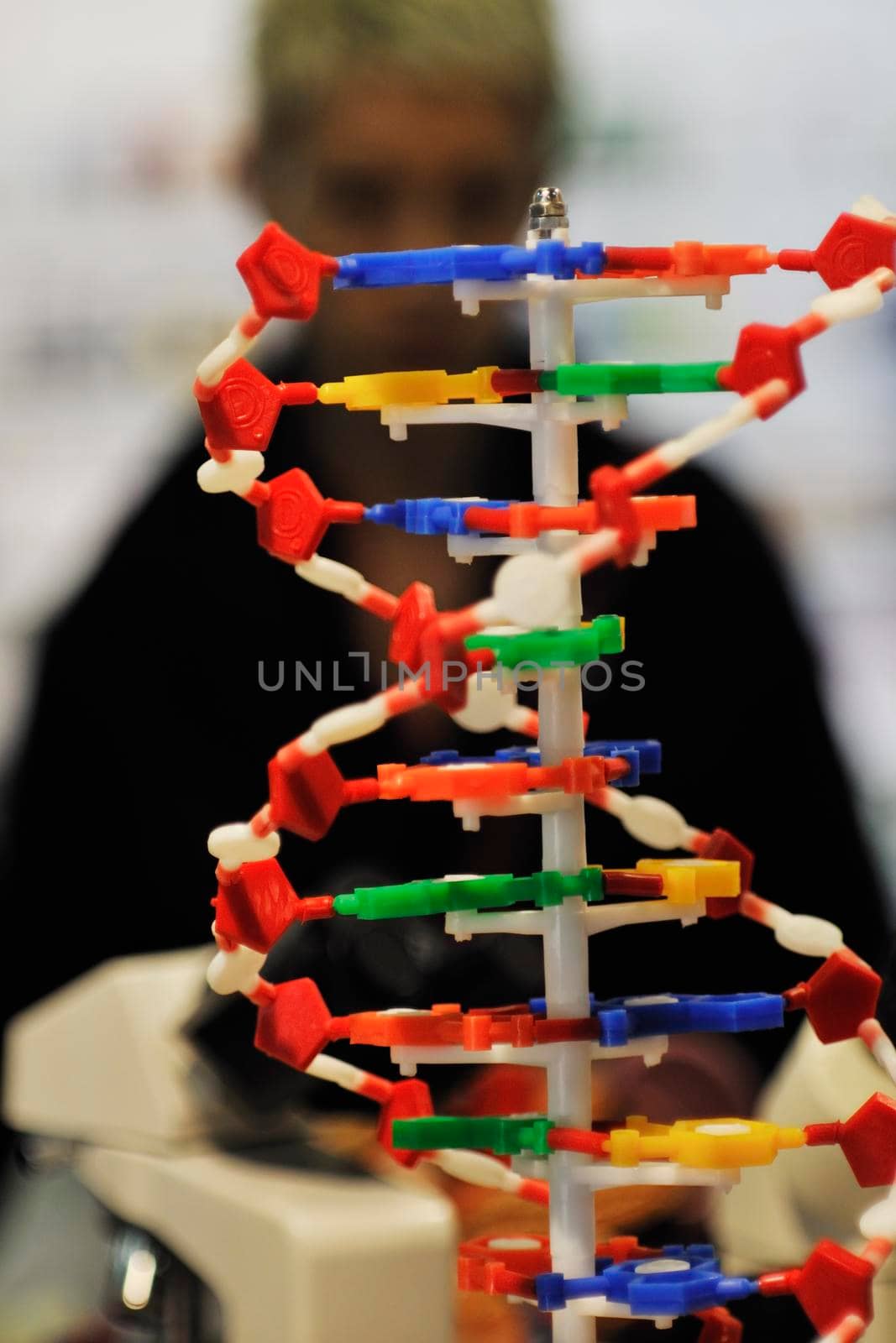 dna chin spiral molecule school chemistry and biology tool 