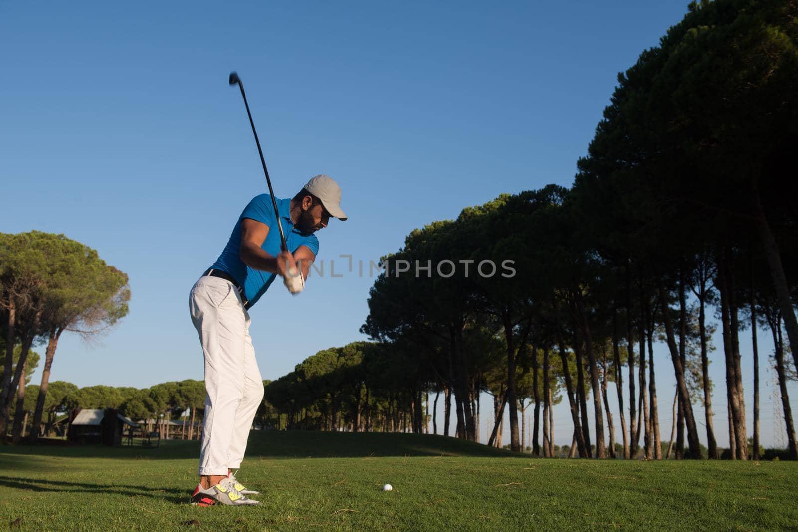 handsome sporty man, golf player hitting shot with club on course at beautiful morning