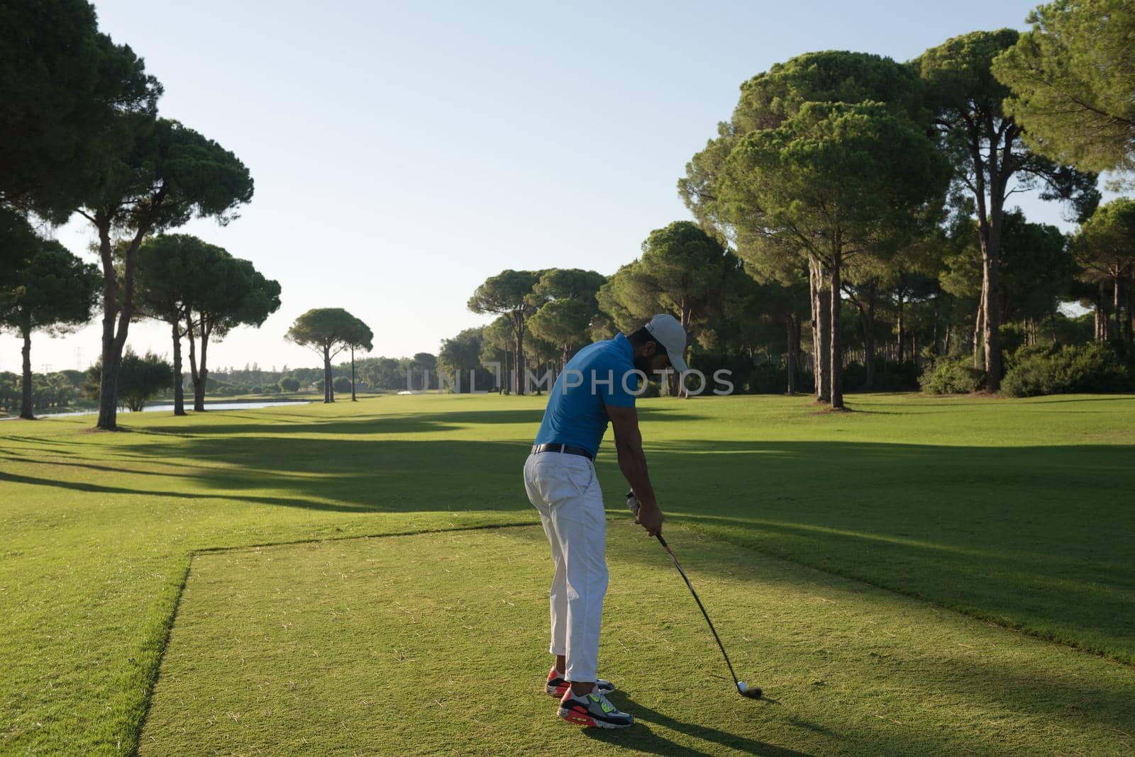 golf player hitting shot with club on course at beautiful morning with sun flare in background