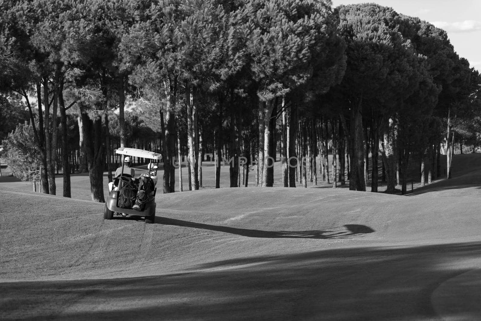 couple in buggy cart on golf course