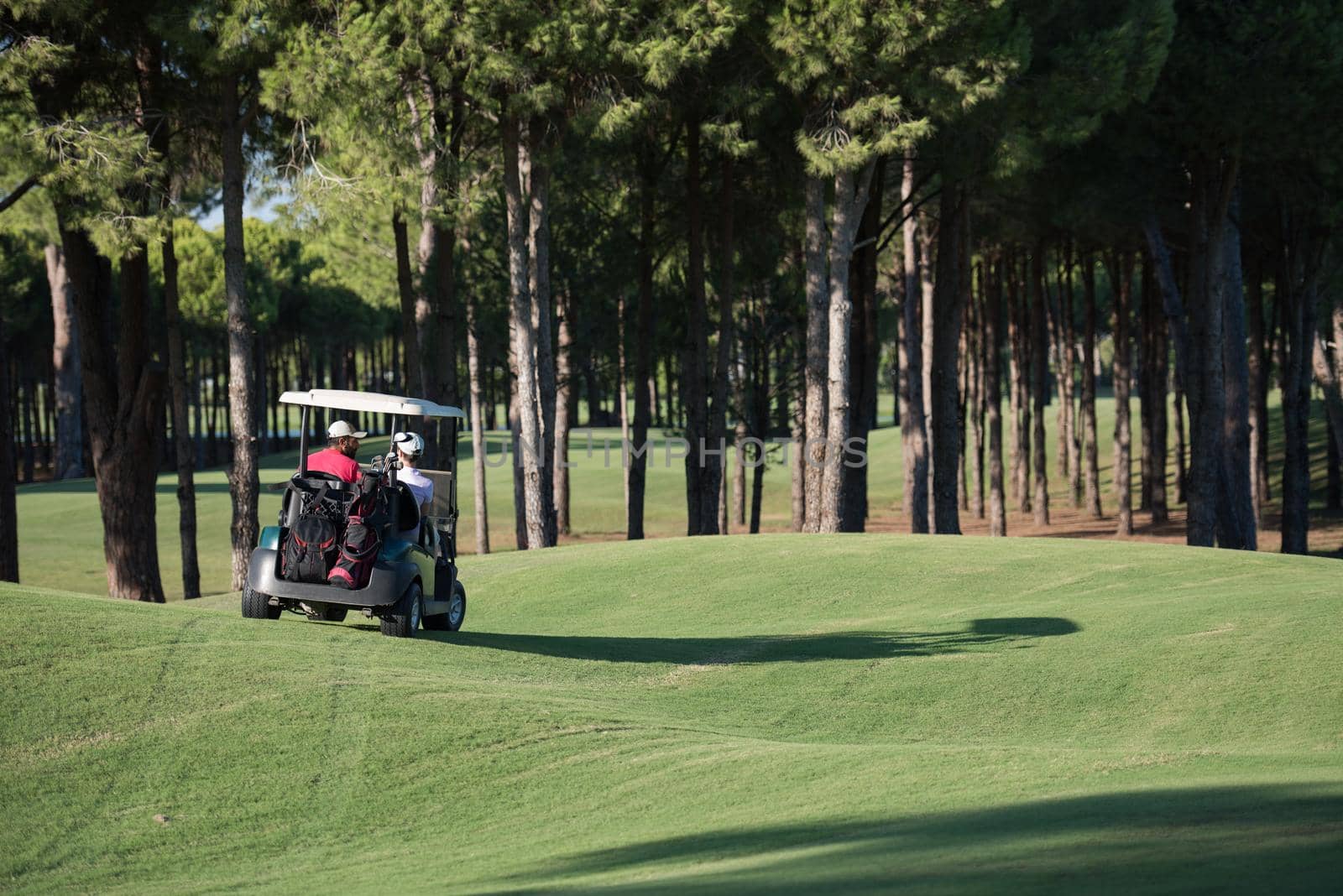 couple in buggy cart on golf course