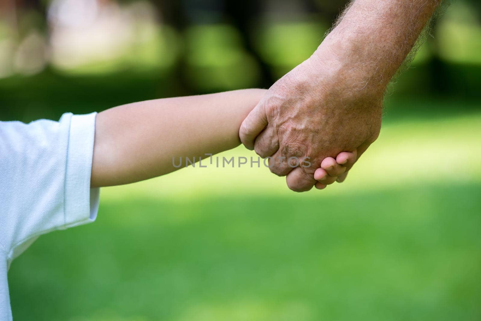 happy grandfather and child have fun and play in park on beautiful  sunny day