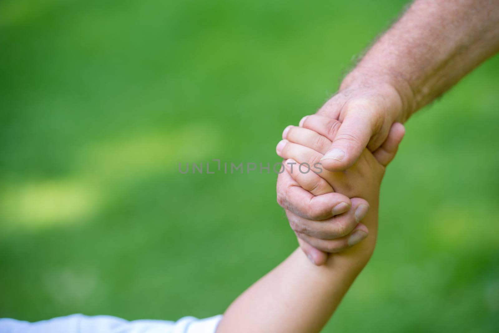 grandfather and child have fun  in park by dotshock