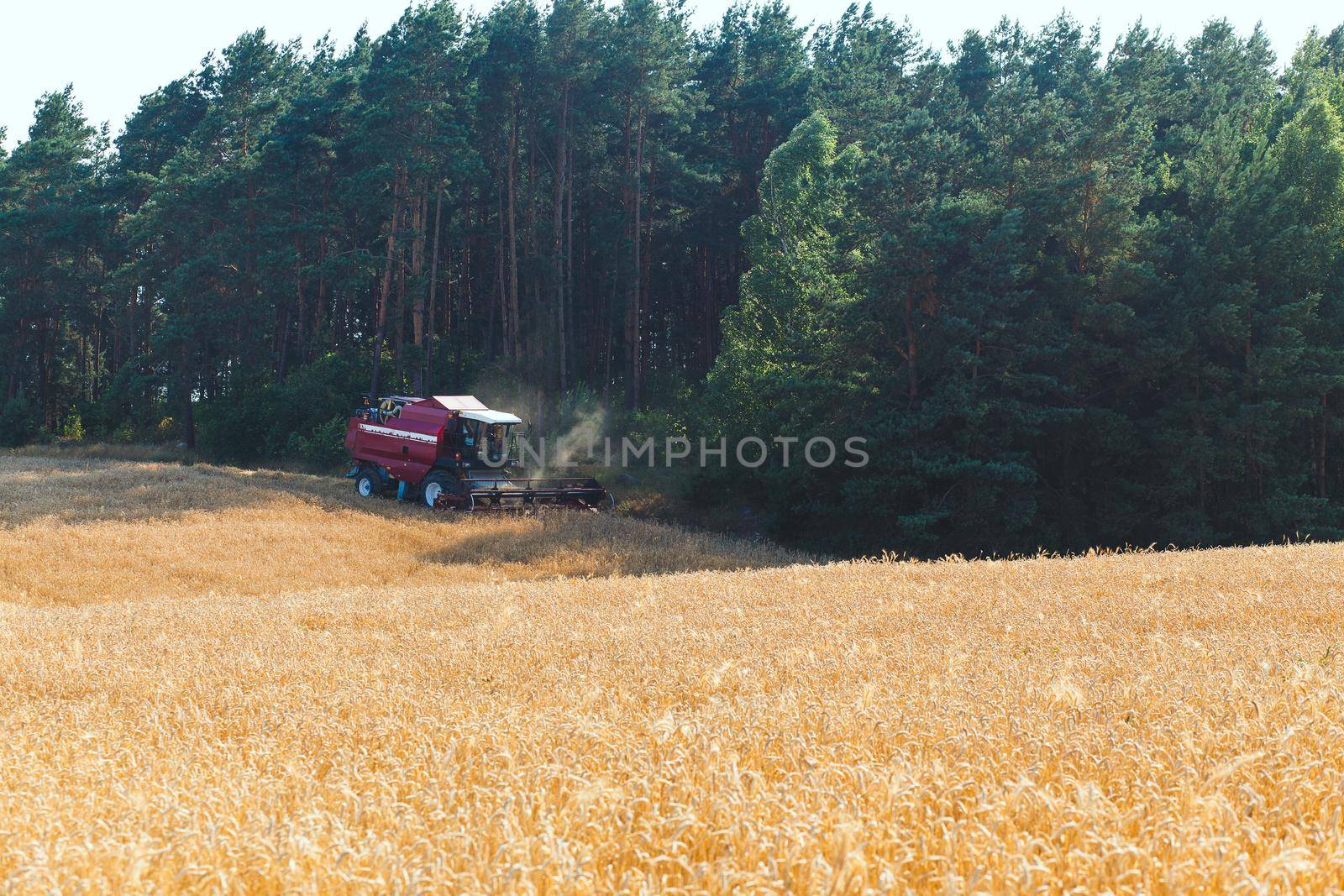combine harvester by BY-_-BY