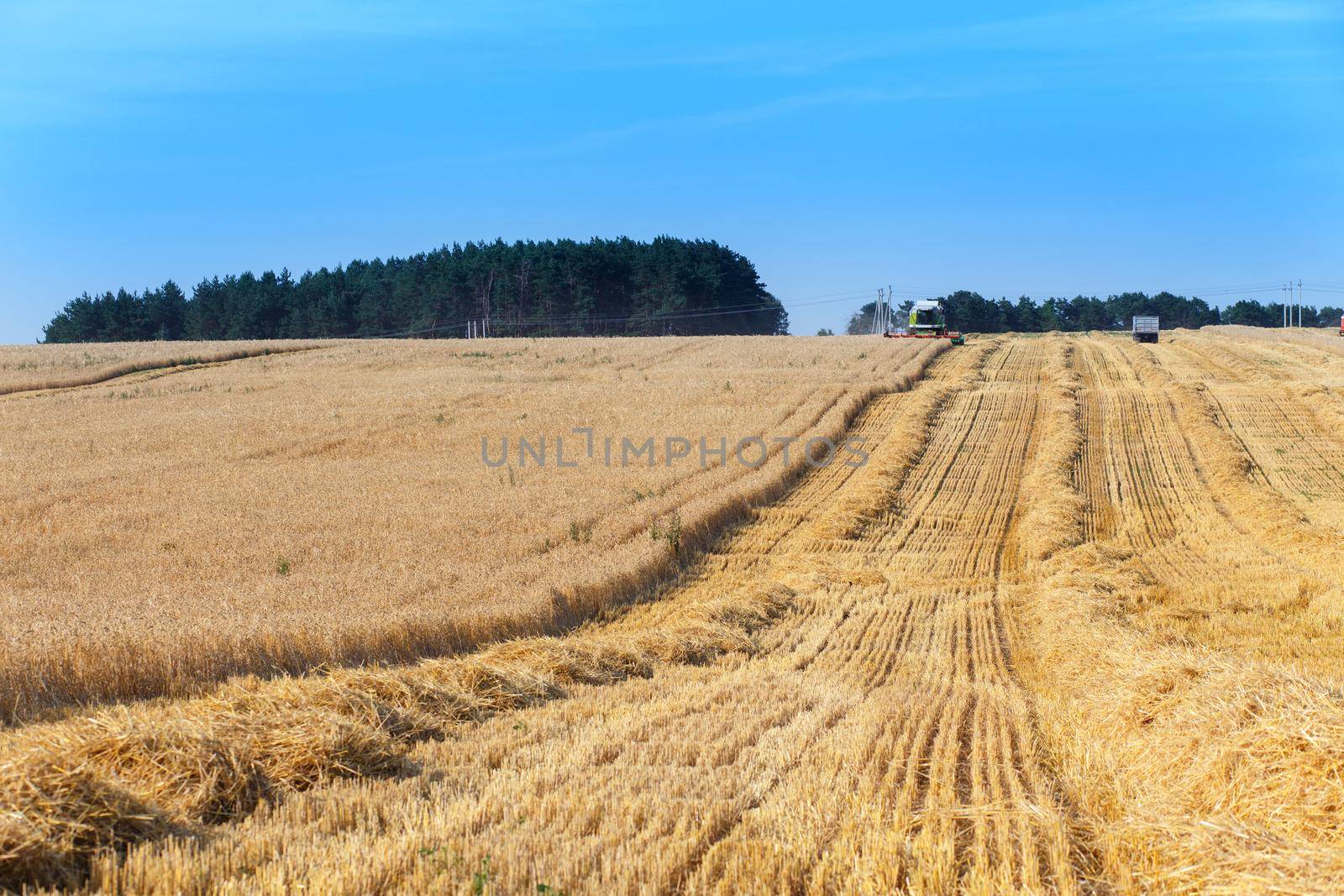 combine harvester working by BY-_-BY