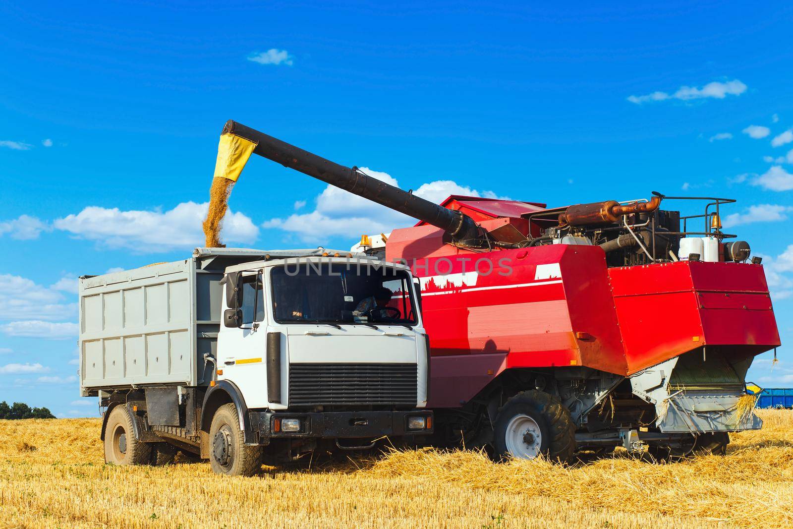 The harvester is bulk harvested grain into the truck