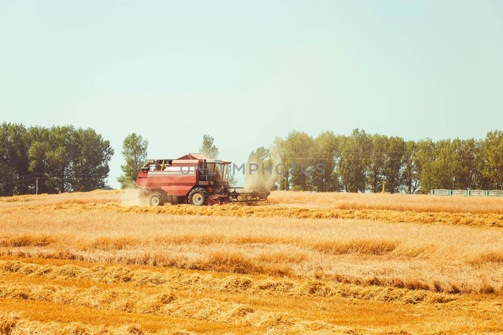 combine harvester by BY-_-BY
