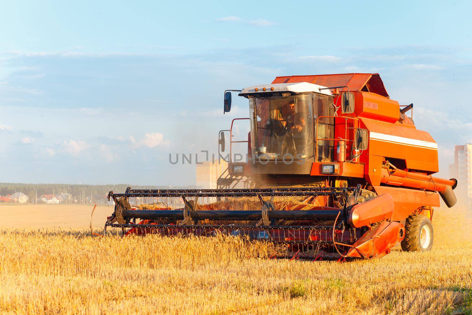 Combine harvester working by BY-_-BY