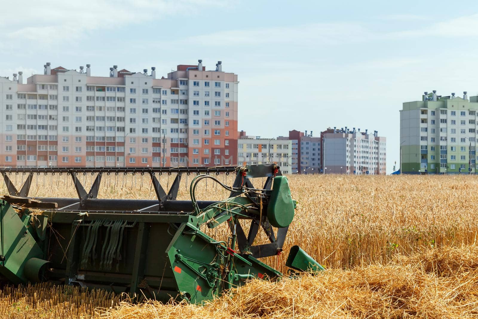 The combine harvests ripe wheat in the grain field near a residential area . Agricultural work in summer. Header close up.