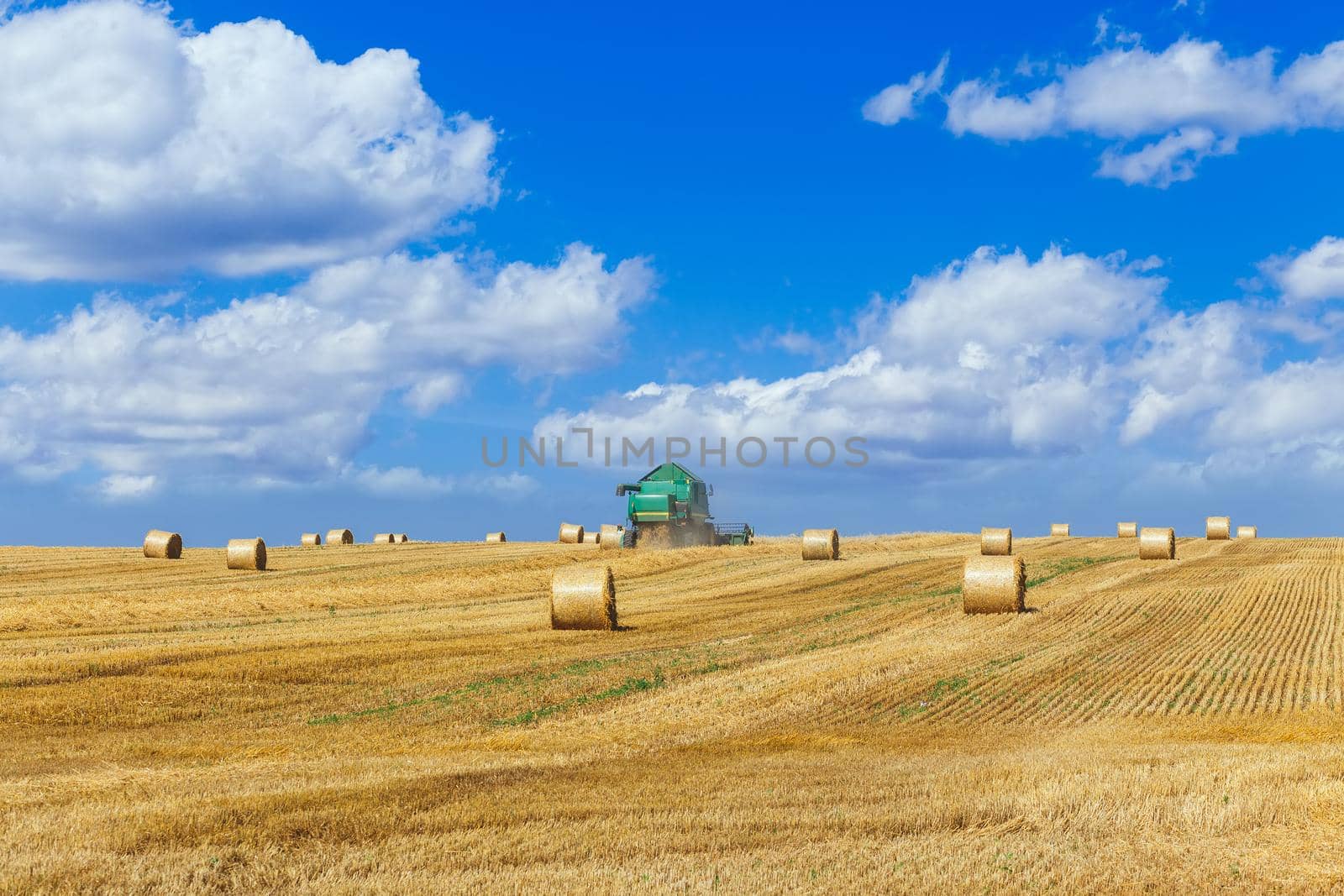 The combine harvests ripe wheat in the grain field. by BY-_-BY