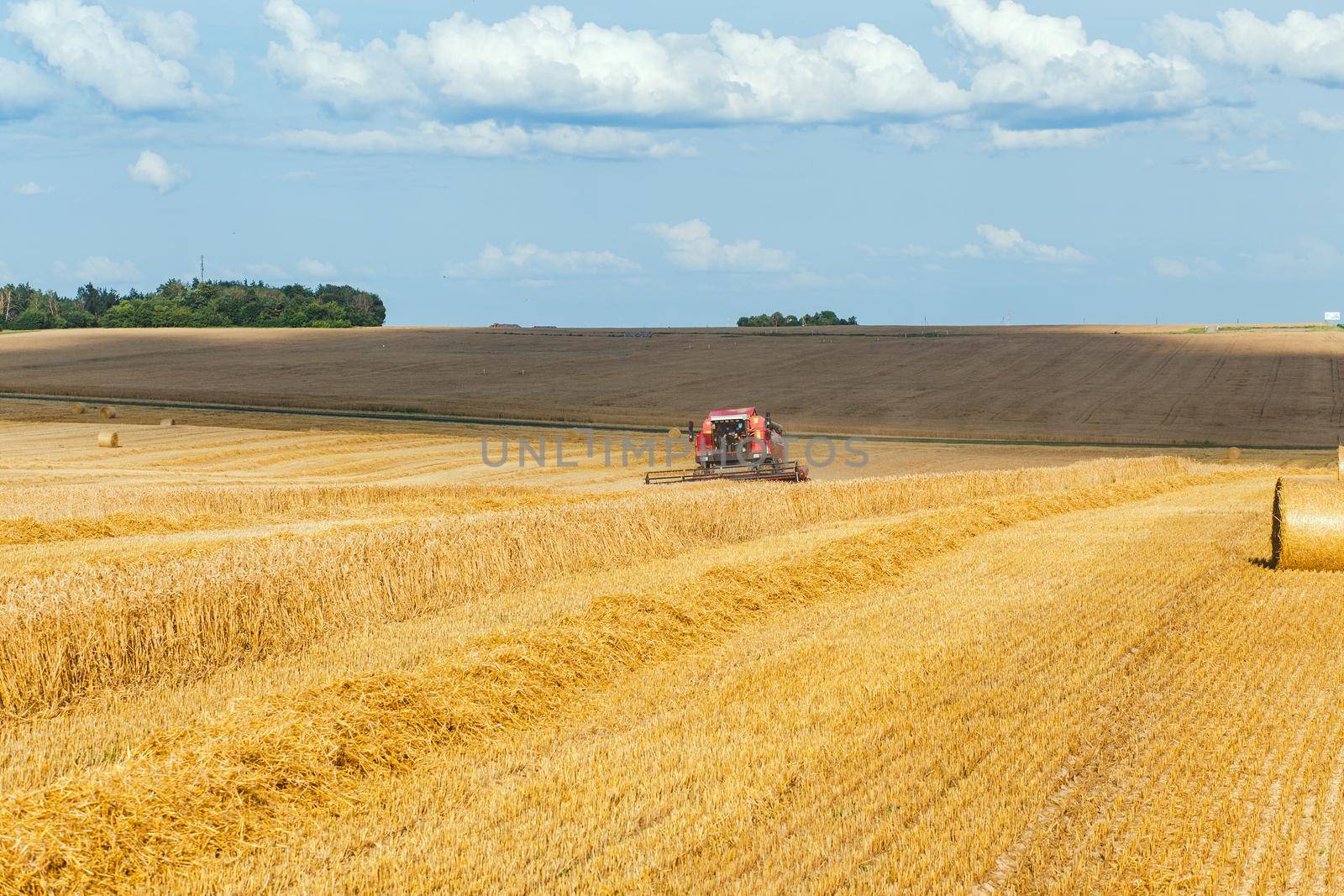 Combine harvester harvesting ripe wheat by BY-_-BY