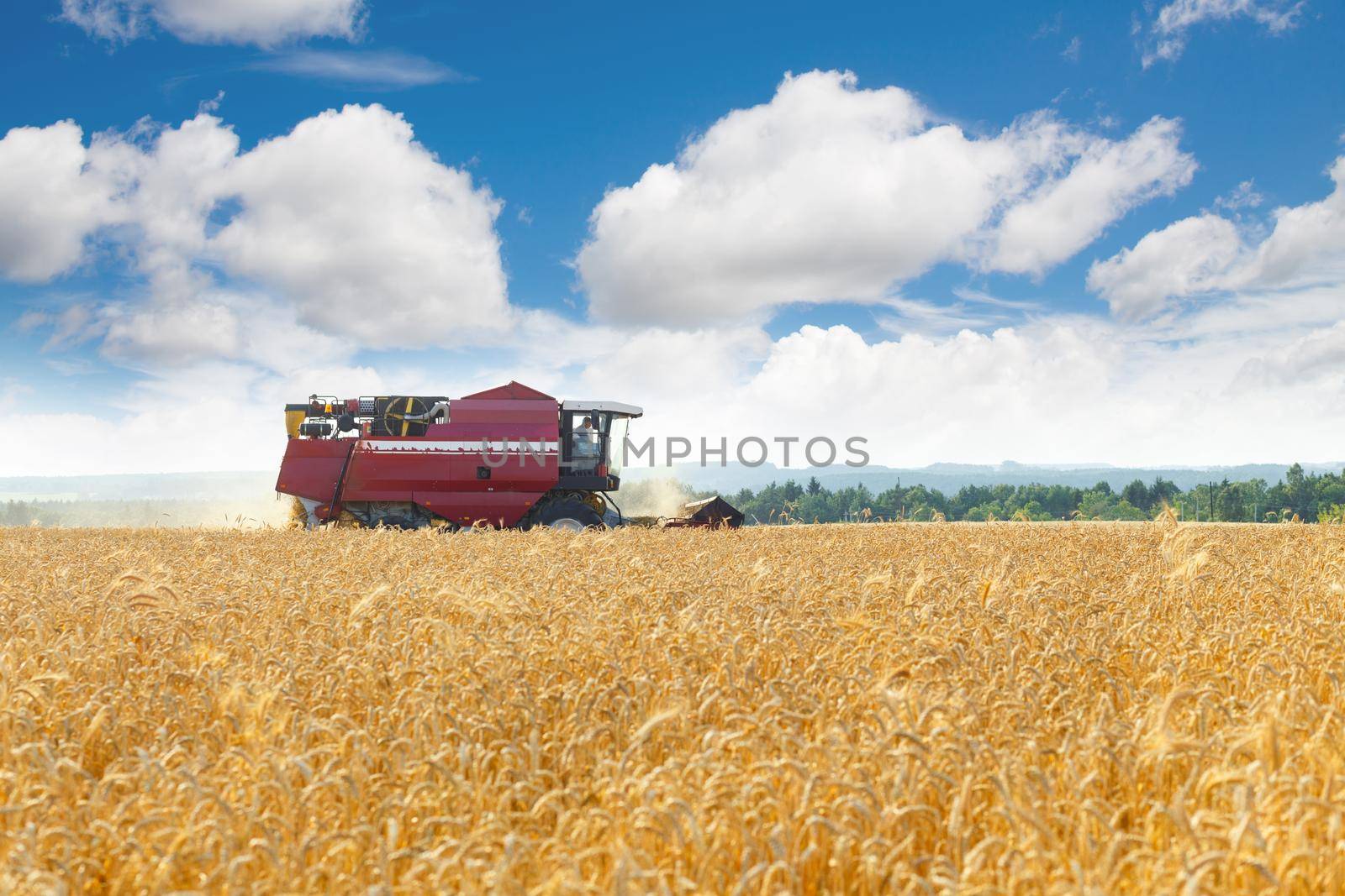 The harvester is bulk harvested grain by BY-_-BY
