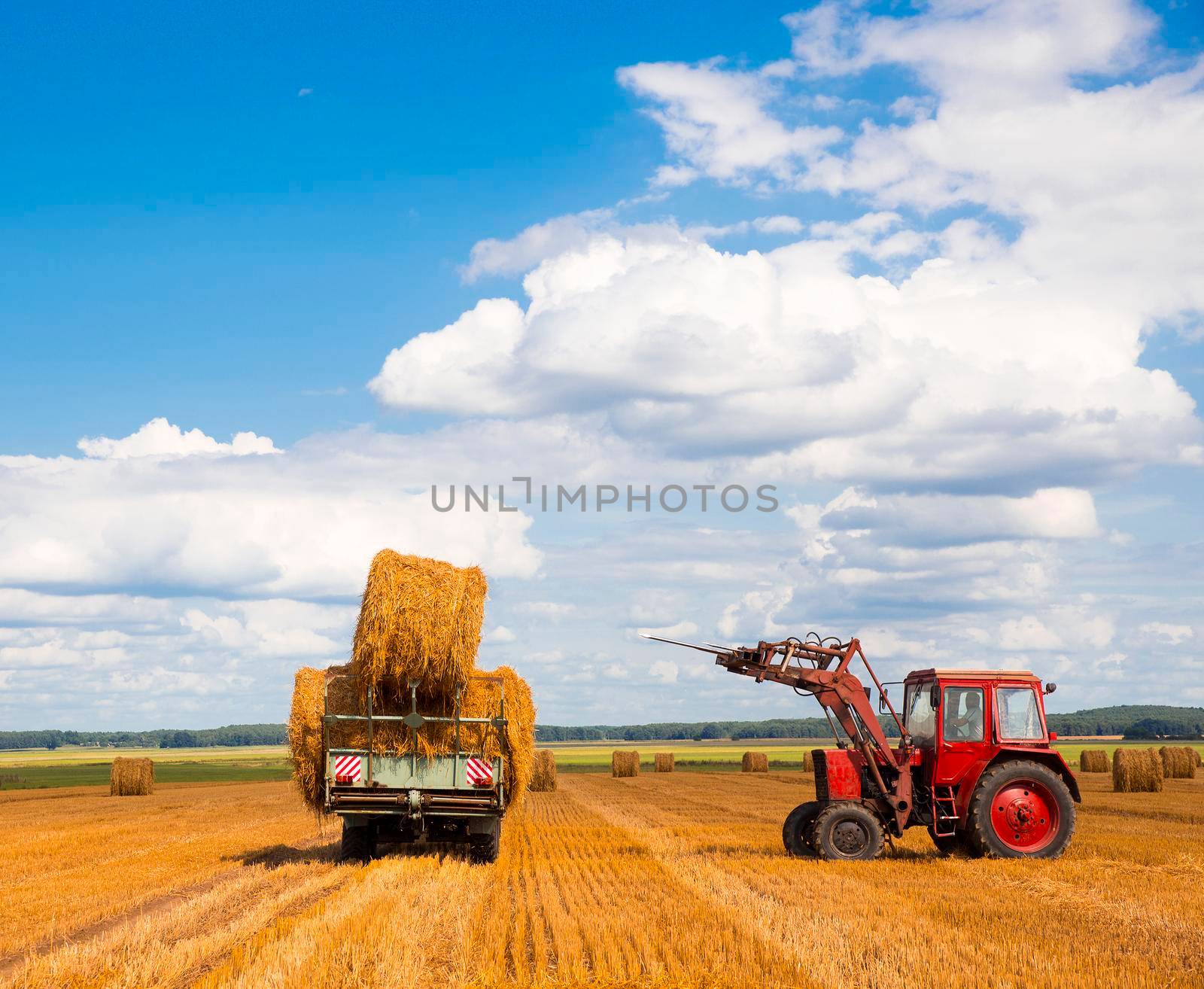 Tractor carrying hay at field in summer day