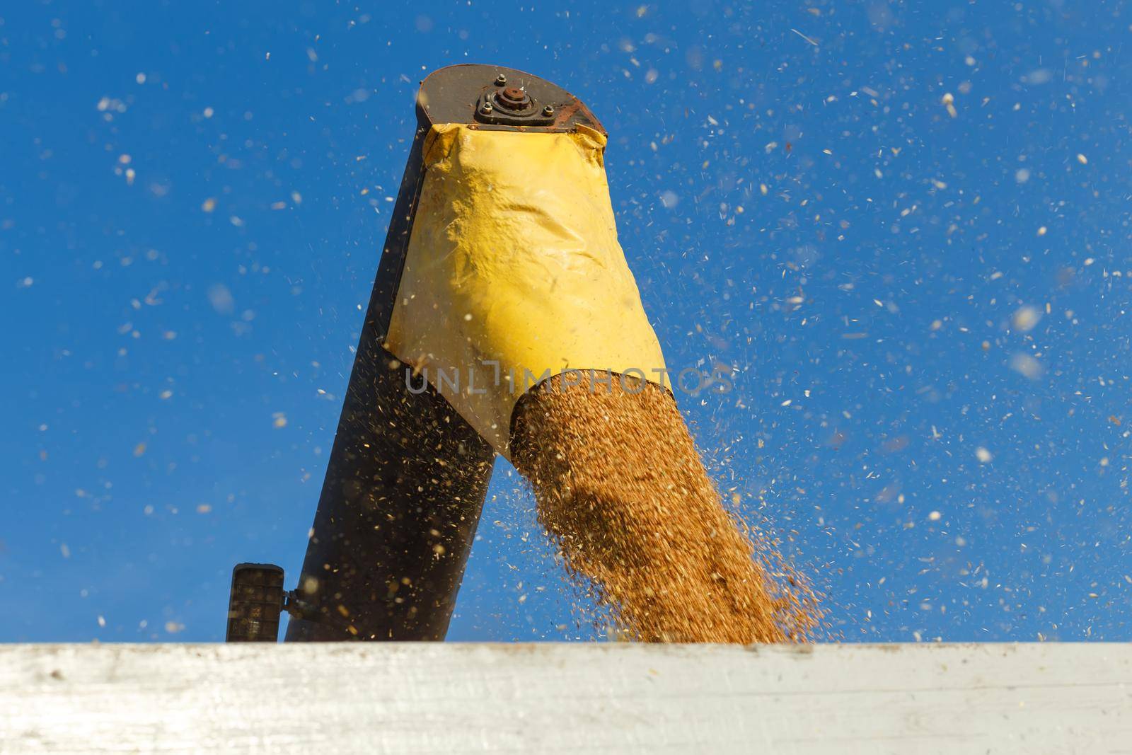 Harvesting is the process of gathering a ripe crop from the fields