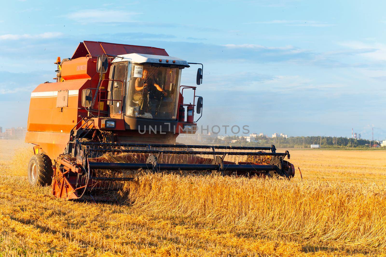 GRODNO, BELARUS - AUG 02: Combine harvester working on a wheat field near the living buildings on August 02, 2016 in Grodno, Belarus