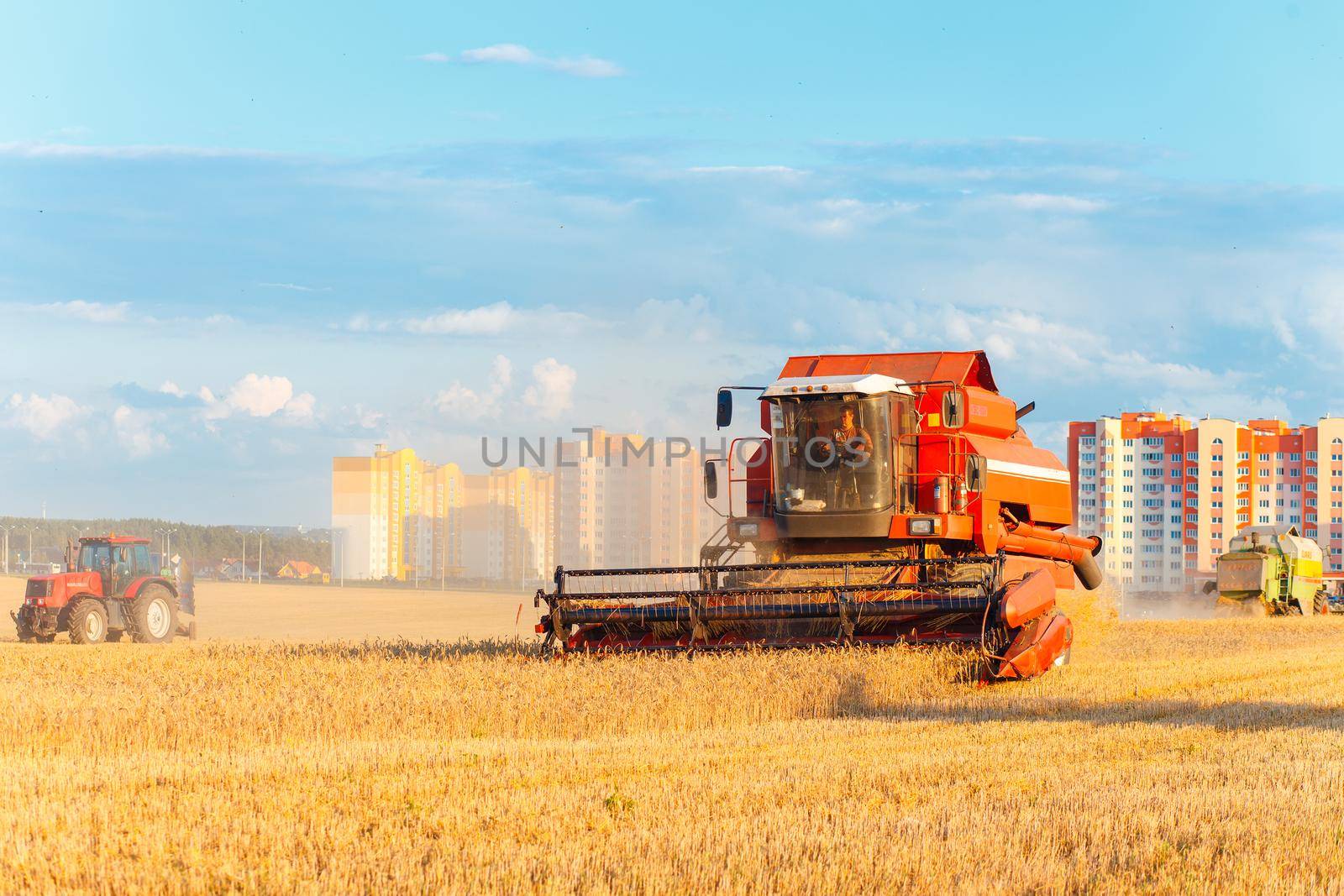 GRODNO, BELARUS - AUG 02: Combine harvester working on a wheat field near the living buildings on August 02, 2016 in Grodno, Belarus